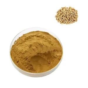 Factory Supply Wholesale Coriander seed Extract Powder