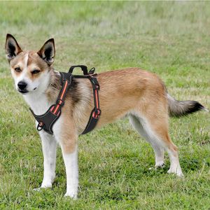 Harnais de poitrine réfléchissant orange pour grands chiens, confortable, pour l'extérieur, fournitures pour animaux de compagnie - Product Image 1