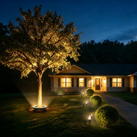 Projecteur d'arbre intelligent RGB à commande par application, 12W, étanche IP65, pour extérieur, jardin, parc, paysage, à fixer sur poteau