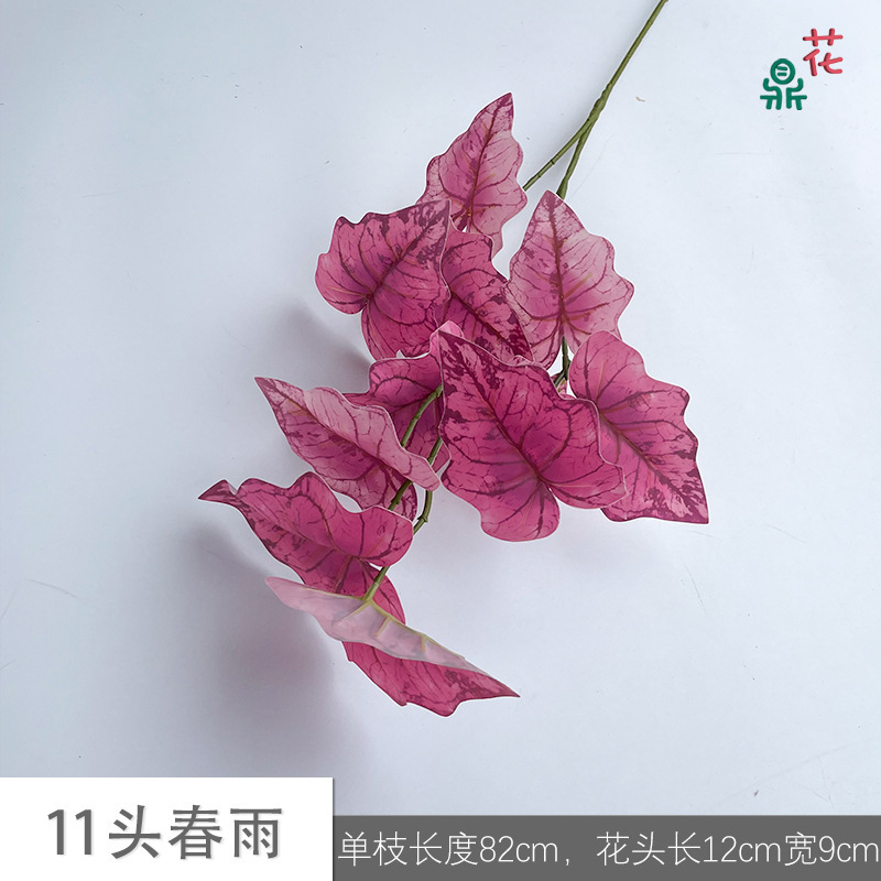 11 Pluie de printemps JH Rose Rouge