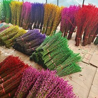 Silberne Weide trocknende Blume wahre Blume frische Äste hydroponische Pflanze rot Silberne Weide Neujahrsnacht Wohnzimmer-Dekoration