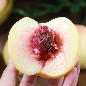 Pêches fraîches de haute qualité Option de fruits sains sucrés et délicieux Pêche au miel - Product Image 3