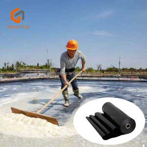 Geovance-Digesteur de biogaz Geomembranes HDPE imperméables au gaz 0.2mm-2.5mm <span class=keywords><strong>pour</strong></span> étang à poissons, étang d'enfouissement PVC polyéthylène <span class=keywords><strong>EPDM</strong></span> - Product Image 2