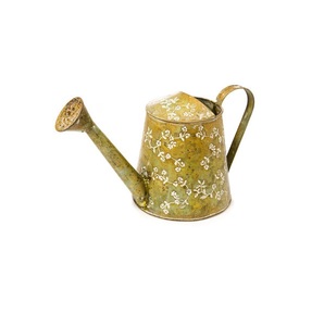 Factory Direct Sale Galvanized Iron Metal Watering Pitcher / <b>Water</b> <b>Can</b> for Indoor and Outdoor Plants - Product Image 6