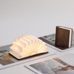 Autocollant de réfrigérateur lumineux pliable souvenir créatif 2026, cadeau du Nouvel An, style chinois, produits culturels d'entreprise, petit cadeau - Product Image 4