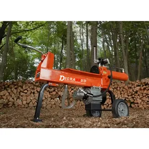 RCM produttore professionale Log Splitter elettrico verticale/orizzontale una piccola macchina per la scissione della legna da ardere Splitter Hyd