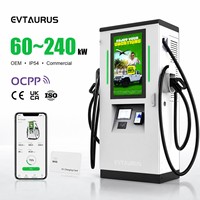 Stazione di Ricarica EV per Esterni Impermeabile IP54 da 80kw 120kw 240kw CCS GBT Chademo con Schermo Grande da 32 Pollici per Pubblicità