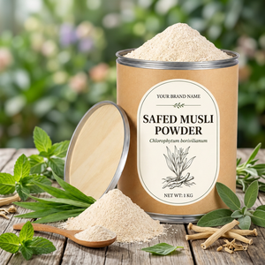 Polvo de Muesli 100% Puro y Seguro, Polvo de Raíz Herbal Natural, Suministro a Granel, Estilo Orgánico, Ingrediente a Base de Plantas - Product Image 2