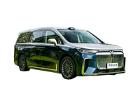 Voyah Dream <strong>Best</strong> <strong>Selling</strong> Chinese Luxury Mpv for Europe Middle East Africa Export