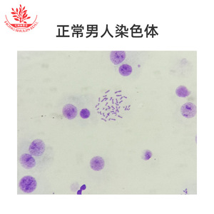 Clear specimen structure, quasi-biological laboratory slides, genetics, embryology, educational science, children's <b>microscope</b> - Product Image 5