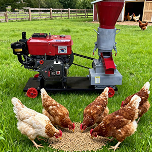 Máquina de Fabricación de Pellets para Alimento de Pollos, Equipo Agrícola Pequeño TX, Máquina de Pellets para Alimento de Ganado en Venta - Product Image 2