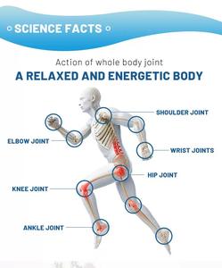 Vitamina B integratore di nervo capsula per il dolore articolare prodotti per la salute per gli adulti non per gli adolescenti o le donne in gravidanza - Product Image 3