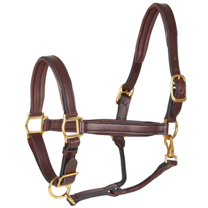 Correa de Cuero de Alta Calidad para Montar a Caballo, Equipo Ecuestre Profesional, Diseño Transpirable, Personalizable, Venta al Por Mayor OEM - Product Image 1