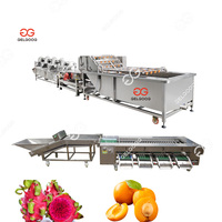 Dates commerciales Ligne d'emballage de classement des fruits Machine Ligne de classement et de tri des cerises Ligne de tri des fruits orange
