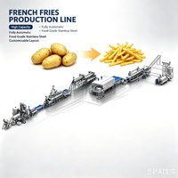 Ligne de production automatique de frites surgelées, machine à couper, blanchir et frire les frites pour les petites usines alimentaires