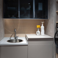 Armoire de rangement murale pour buanderie avec évier, porte vitrée et niche double pour lave-linge et sèche-linge, pour espace utilitaire domestique