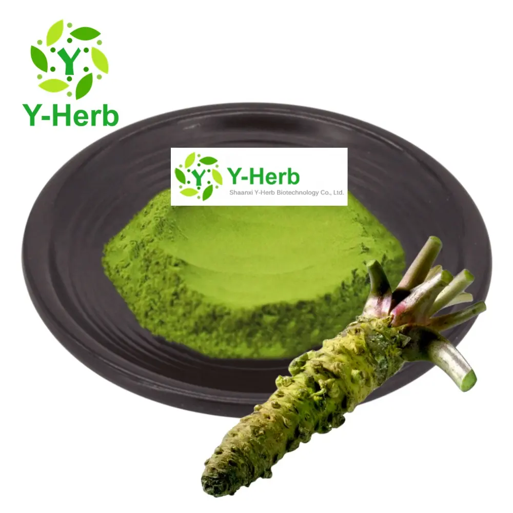 Biologische Wasabi Extract Wasabia Japonica Wortel Extract Poeder Bulk Wasabi Kruidenpoeder