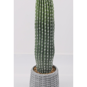 <span class=keywords><strong>Colonne</strong></span> de <span class=keywords><strong>cactus</strong></span> artificielle super grande pour café décoration d'intérieur paysage de plantes de sable - Product Image 3