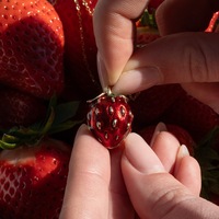 Collier Médaillon Ouvert Fantaisie SongYi pour Femme, Figurine Miniature Souris de la Récolte, Compartiment Secret, Acajou, Fraise
