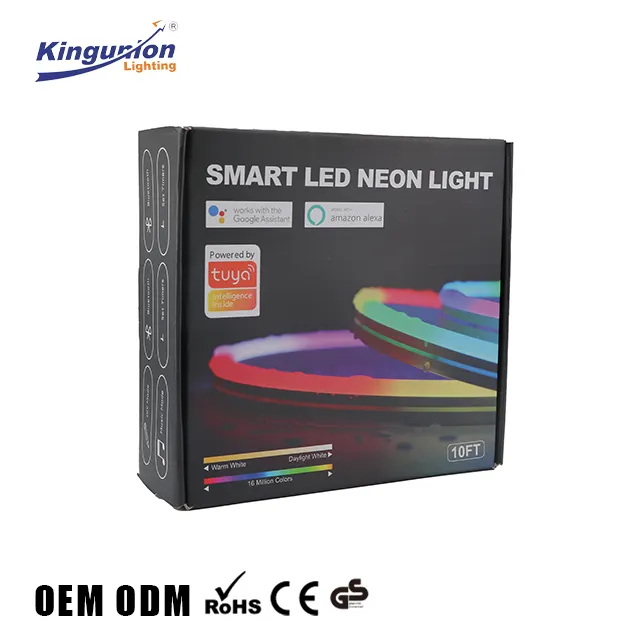 Kingunion Custom Neon 5050 2835 bande lumineuse à led ip65 12V rgb silicone neon flex pour lampes à corde RGBIC