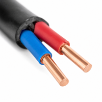 Câble flexible RVV en cuivre pur, 2 conducteurs, 1 mm², 1,5 mm², fil isolé gainé pour système de contrôle d'éclairage, longueur personnalisée, OEM ODM