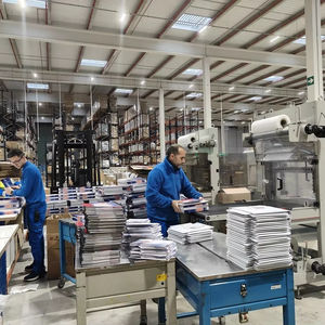 Operaciones Logísticas de Alto Rendimiento en España que Apoyan el Cumplimiento de Pedidos Internacionales y Sistemas de Gestión de Devoluciones - Product Image 1