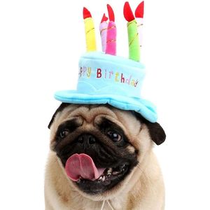 Sombrero de cumpleaños para perro o gato con 5 velas de colores, talla única, accesorio suave para fiestas de mascotas - Product Image 2