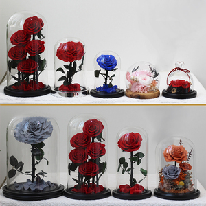 Regalos Tallo largo Rosa eterna Preservada Naturaleza fresca real <span class=keywords><strong>Amor</strong></span> para siempre Flor preservada en cúpula de vidrio Rosa preservada al por mayor - Product Image 1
