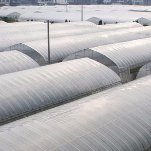 Film plastique pour serre de protection UV agricole pour 1000 m², écologique et non polluant - Product Image 4