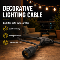 Câble d'extension pour guirlande lumineuse LED extérieure robuste IP65 étanche, en PVC durable, pour jardin et patio, avec prise pour lampe de Noël - NBTOP