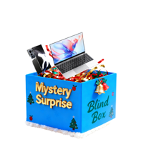 Boîte Mystère Électronique Avancée 5 Pièces - Accessoires Aléatoires Porte-Bonheur PC 3C Téléphone Portable Liquidation Cadeau Jouet Électronique Surprise