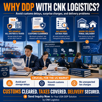 Service de Consolidation de Fret CNK Auto-géré 1688 Pinduoduo vers l'Allemagne DDP Porte-à-Porte – Transitaire Logistique Rapide