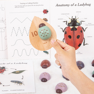Tốt nhất bán gỗ Ladybug nghiên cứu giác ngộ đồ chơi Montessori bé toán học phù hợp với giáo dục trò chơi cho trẻ em Quà tặng CE - Product Image 2
