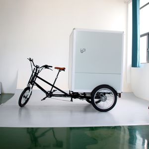 Triciclo de Carga Eléctrico con Pedaleo Asistido, Triciclo de Carga <span class=keywords><strong>Ester</strong></span> Nuevo y Más Resistente, Bicicleta de Carga para Carga Pesada - Product Image 3