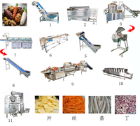 Volledig automatische, aanpasbare machine voor het blancheren, reinigen, snijden en snel invriezen van diepvriesfruit en -groenten.