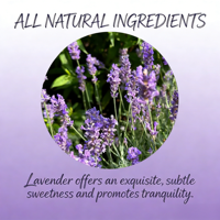 Thé aux herbes à la menthe et à la lavande OEM |   Mélange apaisant et relaxant sans caféine |   Aliments santé de qualité alimentaire 2g*15 |   Sachets de thé GMP/HACCP