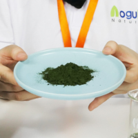 AOGUBIO Suministra Polvo de Chlorella Orgánica OEM ODM, se Alinea con la Aumentante Demanda Global de Ingredientes Superalimentos Orgánicos