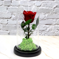 Nouvelles roses éternelles de qualité supérieure en gros, 50 couleurs, roses préservées à jamais dans un dôme en verre avec lumières, cadeau pour la Saint-Valentin