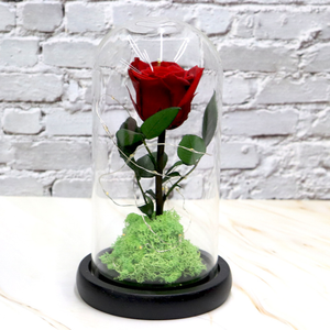 Nouvelles roses éternelles de qualité supérieure en gros, 50 couleurs, roses préservées à jamais dans un dôme en verre avec lumières, cadeau pour <span class=keywords><strong>la</strong></span> Saint-Valentin - Product Image 2