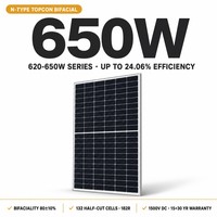 Panneau solaire bifacial TOPCon de type N 650W 1500VDC 132 cellules pour l'installation de projets de centrales électriques au sol à grande échelle
