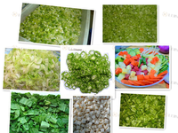 LONKIA-cortador multifunción de hoja duradera para cortar verduras, perejil, repollo, máquina picadora de espinaca