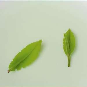 Thé vert Laoshan authentique, nouveau, pré-Ming, de haute montagne, torréfié, en sachets, goût frais et doux, arrière-goût rafraîchissant et sucré, 250g - Product Image 3