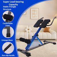 Chaise romaine pliable multifonctionnelle, banc d'extension dorsale, appareil d'hyperextension, équipement de fitness à domicile pour hommes et femmes