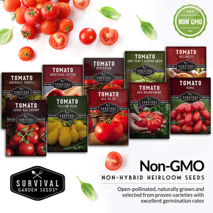 Collection de <span class=keywords><strong>tomates</strong></span>-un arc-en-ciel de variétés de <span class=keywords><strong>tomates</strong></span> <span class=keywords><strong>anciennes</strong></span> - Product Image 1