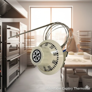 acero inoxidable 60 ℃ ~400 ℃   control de temperatura capilar para horno industrial - Product Image 4