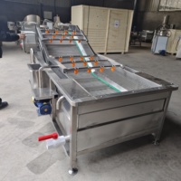 Commerciële luchtbelwasmachine, transportbandtype, voor het reinigen van bladgroenten en garnalen in een verwerkingsfabriek