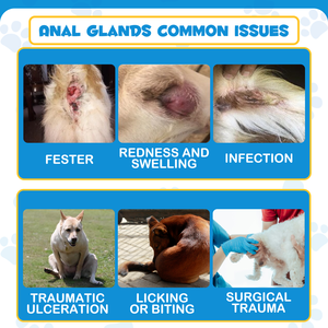 Oimmal يزيل تهيج الغدة الشرجية بسعر الجملة-الروائح الصعبة-يخفف تهيج الغدة الشرجية للكلاب - Product Image 3