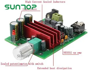 100W TPA3116D2 Amplifier Full Frequency Mono Channel Digital Power Amp Board NE5532 OPAMP 8-25V (Mono, Board)