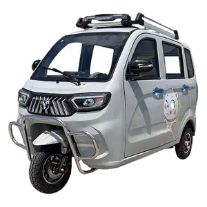 Nueva innovación triciclos eléctricos con puerta delantera eléctrica motocicleta eléctrica con portaequipajes de techo