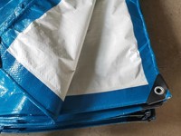 Bâche en polyéthylène tissé laminé traité anti-UV 120GSM 180GSM 240GSM avec œillets métalliques